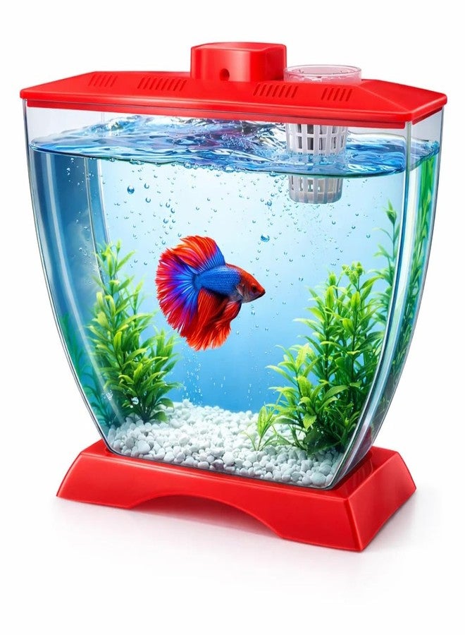 حوض أسماك بيتا صغير من الأكريليك من VAYINATO® مع حامل لأصيص نباتات | أكريليك شفاف | 22×12×15 سم | حوض نانو مكتبي لأسماك البيتا والأسماك الصغيرة | آمن للأطفال، مناسب للمبتدئين | لون عشوائي - Image 1